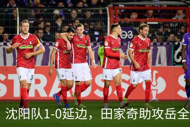 沈阳队1-0延边，田家奇助攻岳全成关键绝杀